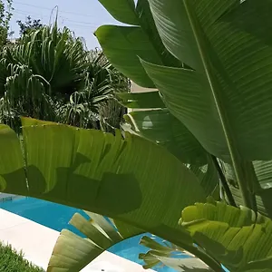 Détente à La Campagne El Puerto de Santa María